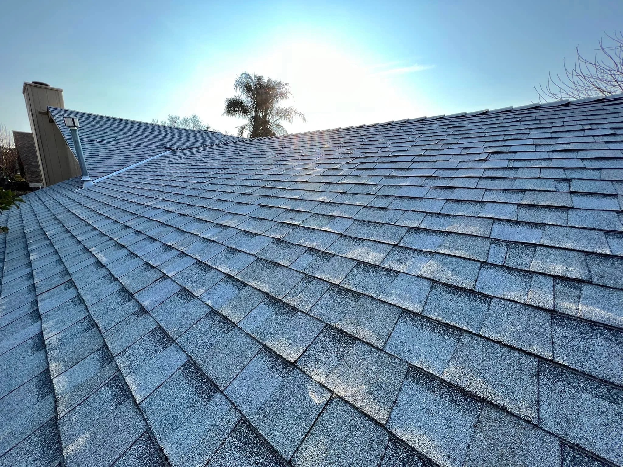 Shingle Roofing